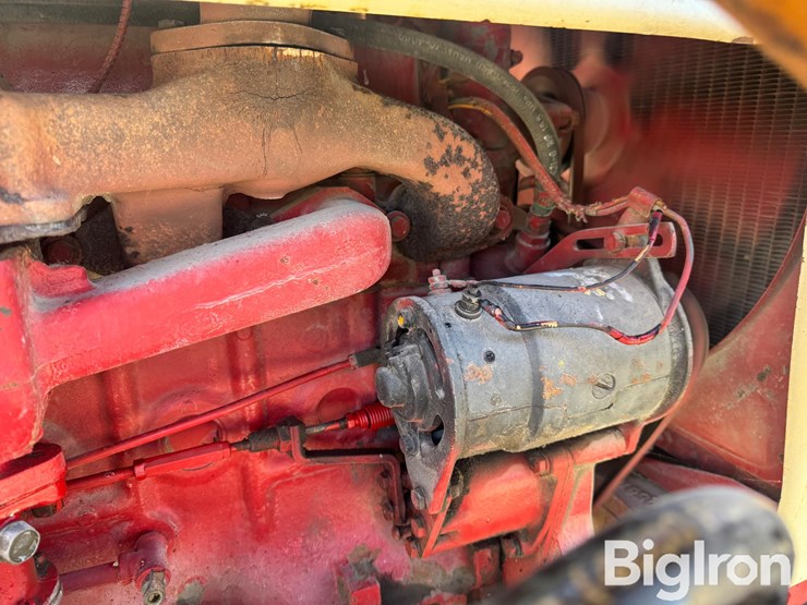 international-560-image-20