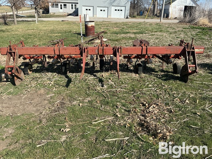 international-153-image-2