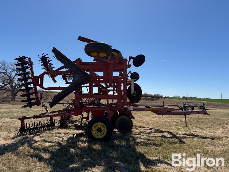 sunflower-3371-33-image-4