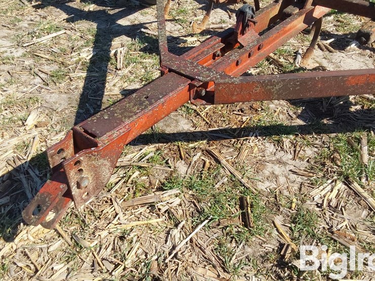 international-45-image-9