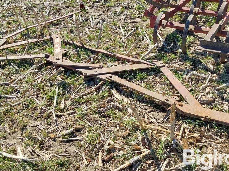 international-22-image-16