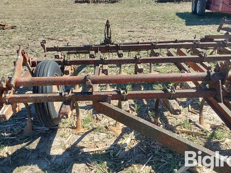 international-45-image-11