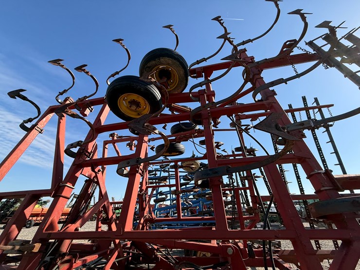 sunflower-5034-29-image-22