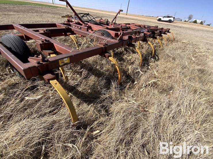 sunflower-2330-image-17