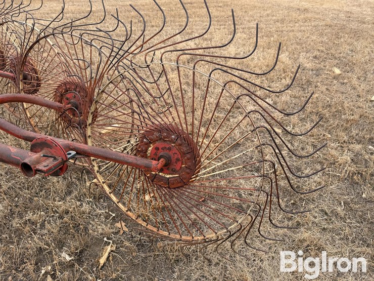 tonutti-10-wheel-rake-image-9