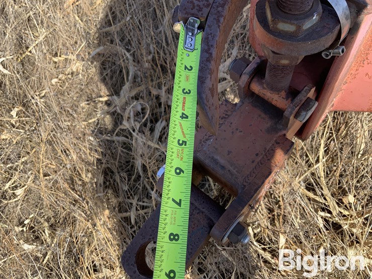 sunflower-2330-image-11