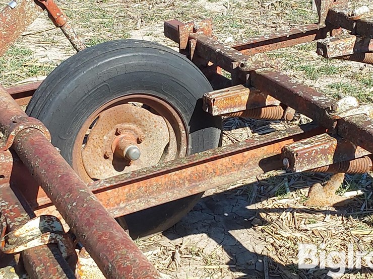 international-45-image-20