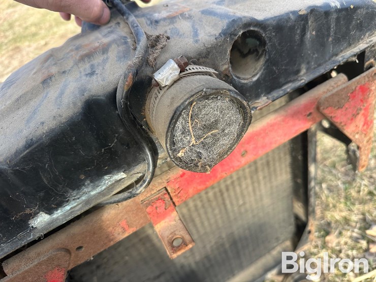 international-m-image-10