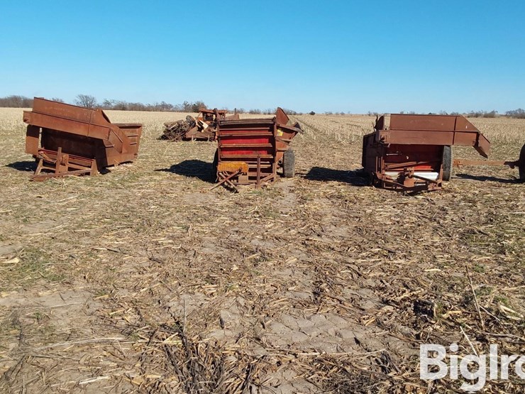 kelly-ryan-4x10-image-9