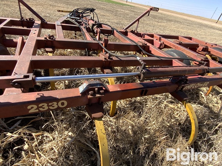 sunflower-2330-image-18