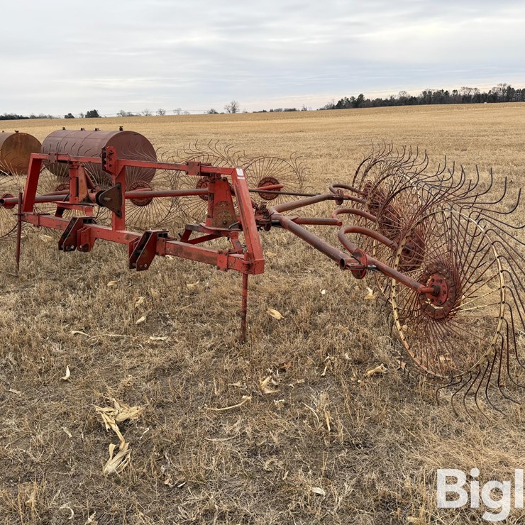 Tonutti 10 Wheel Rake