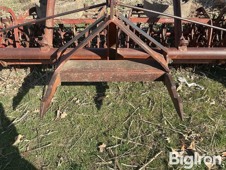 international-3-image-17