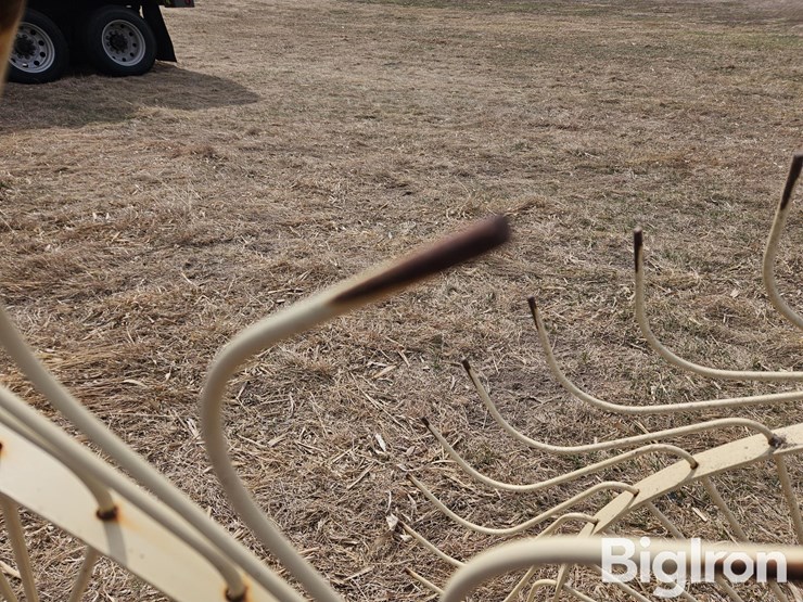 2020-enorossi-rp5-image-12