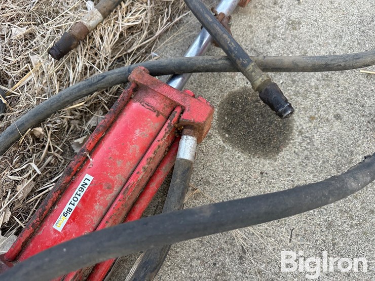 international-3-image-16