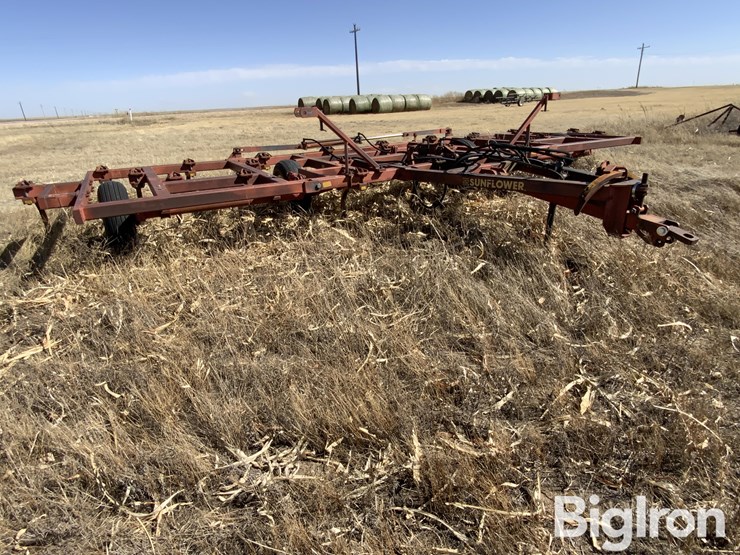 sunflower-2330-image-3