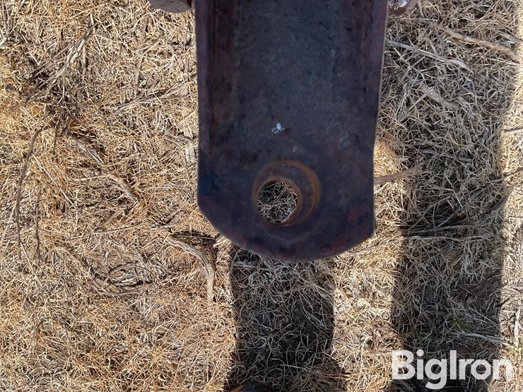 international-50-image-10