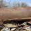 farm-scrap-metal-pile-image-19