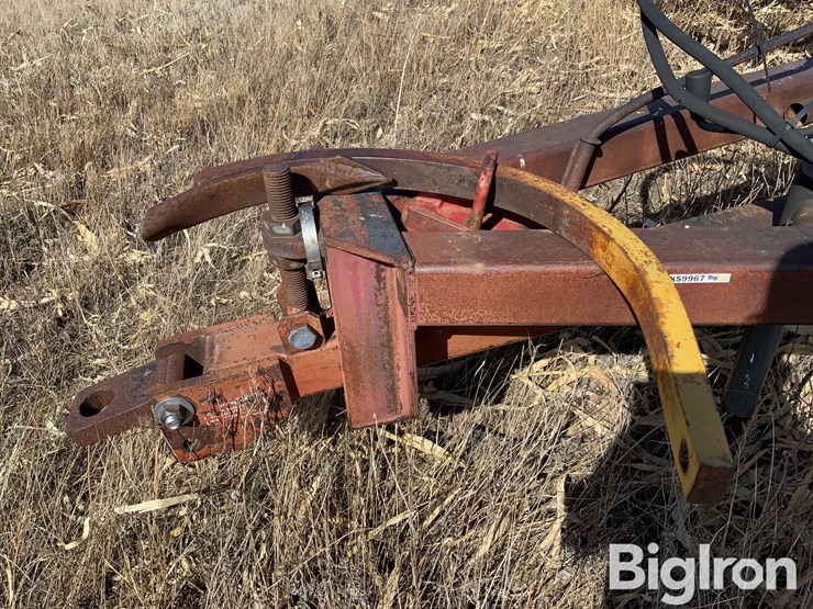 sunflower-2330-image-10