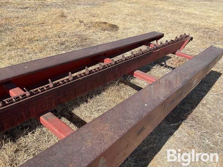 international-50-image-19