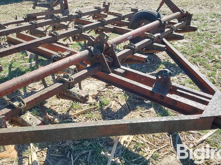 international-45-image-12