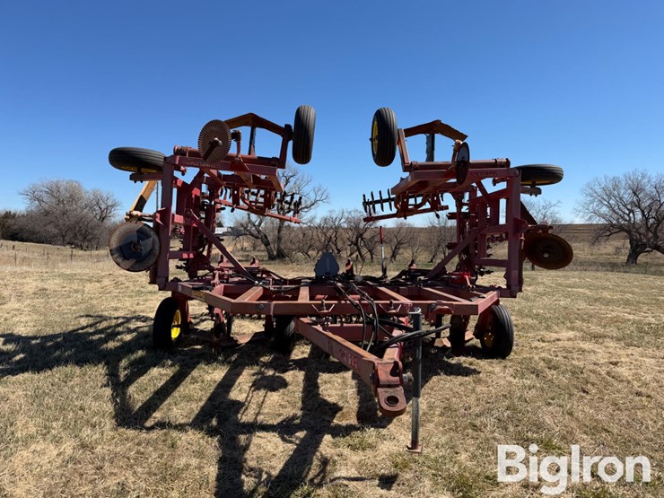 sunflower-3371-33-image-2