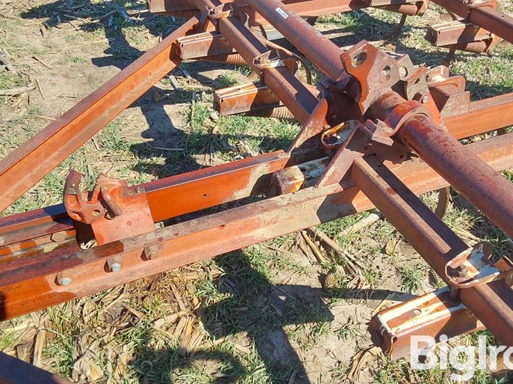 international-45-image-17