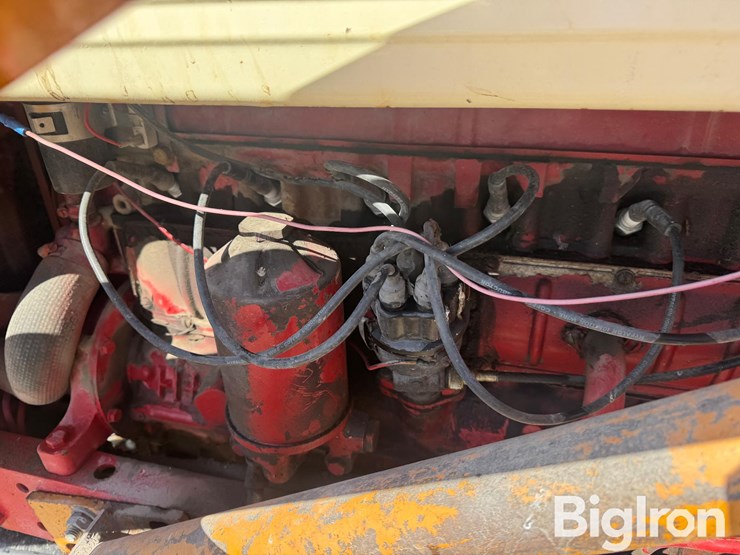 international-560-image-19