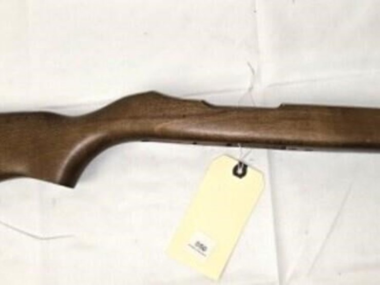 ruger-10-22-stock-image-2