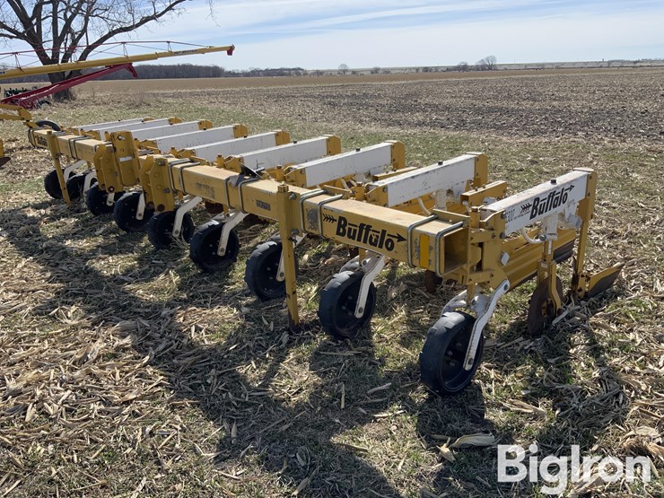 buffalo-6300-image-1