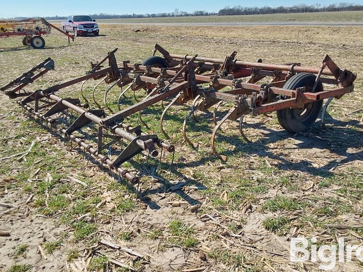 international-45-image-5