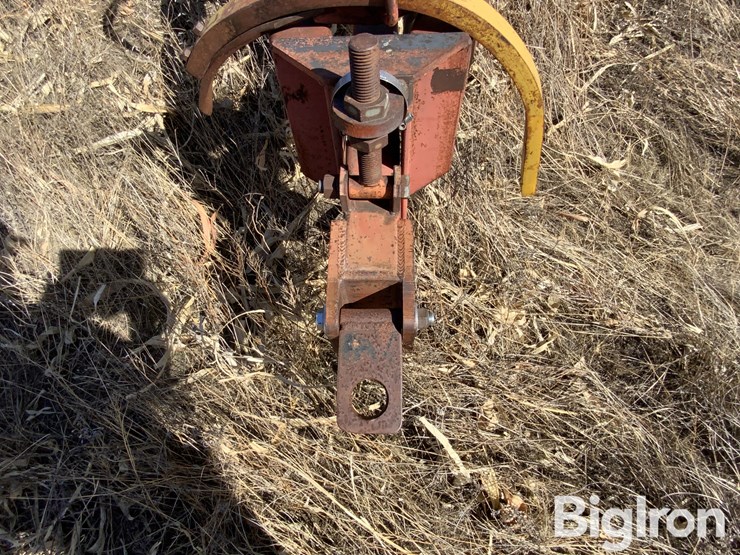 sunflower-2330-image-9