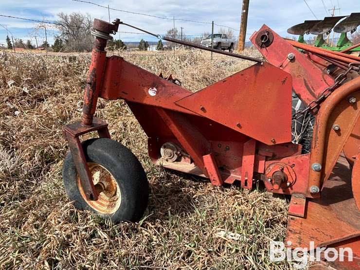 international-810-image-20