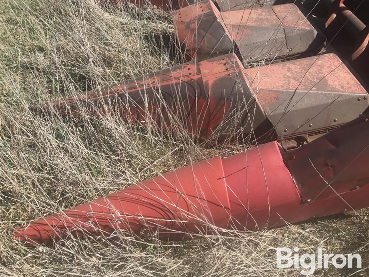 international-963-image-10