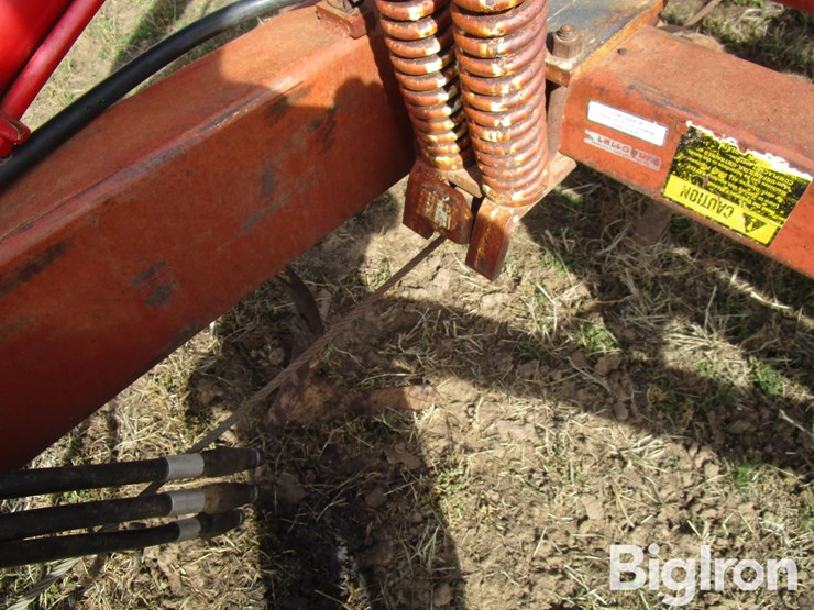 international-55-image-12