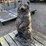 concrete-bear-statue-image-2