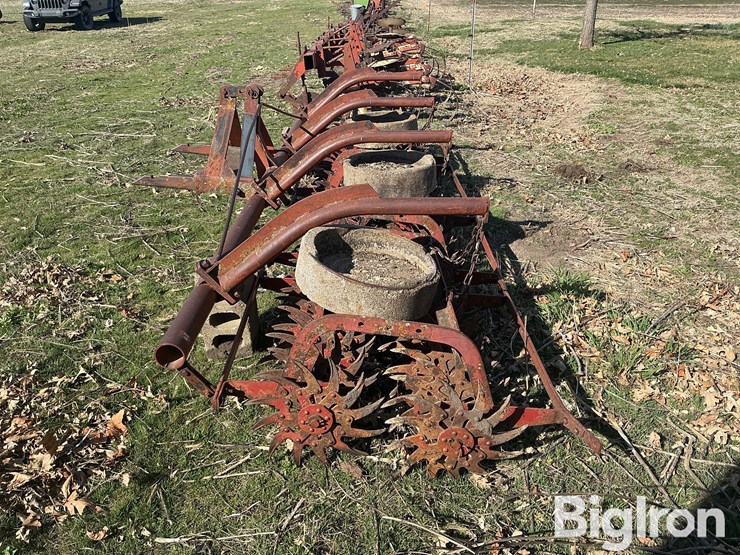 international-3-image-8