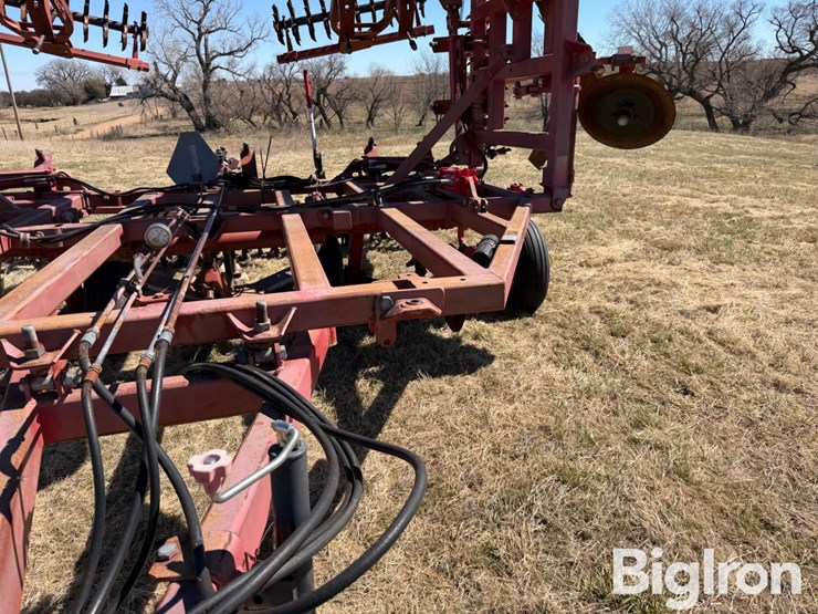 sunflower-3371-33-image-11