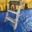 werner-2'-ladder-image-2