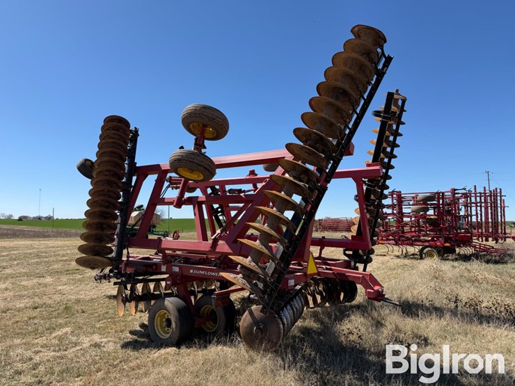 sunflower-1434-36-image-5