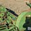 john-deere-38-image-15