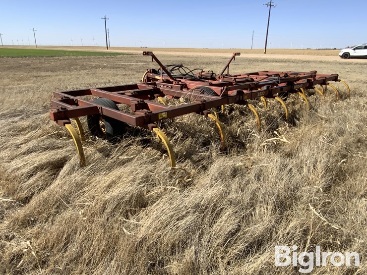 sunflower-2330-image-7