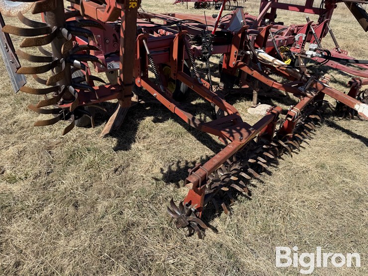 sunflower-3371-33-image-20