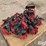 case-ih-1230-image-3