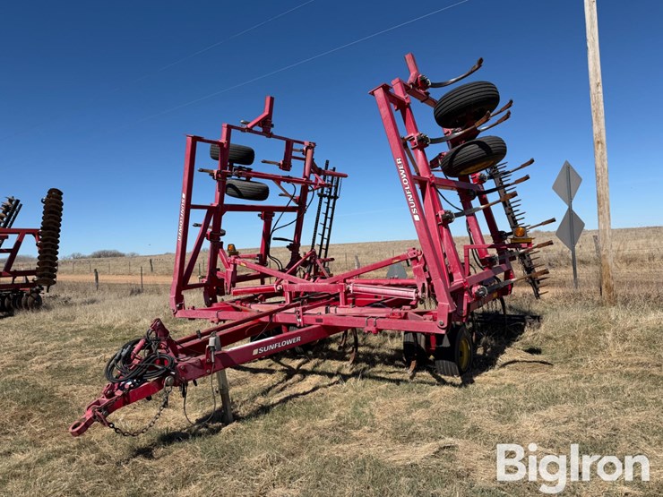 sunflower-2433-31-image-9