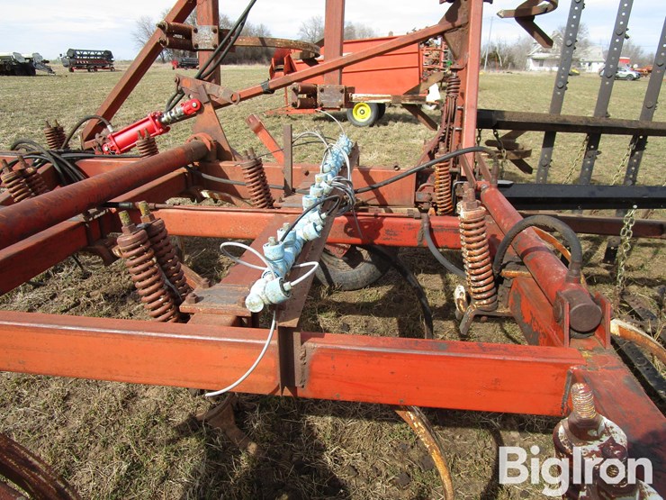 international-55-image-19