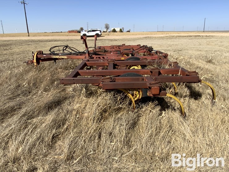 sunflower-2330-image-8