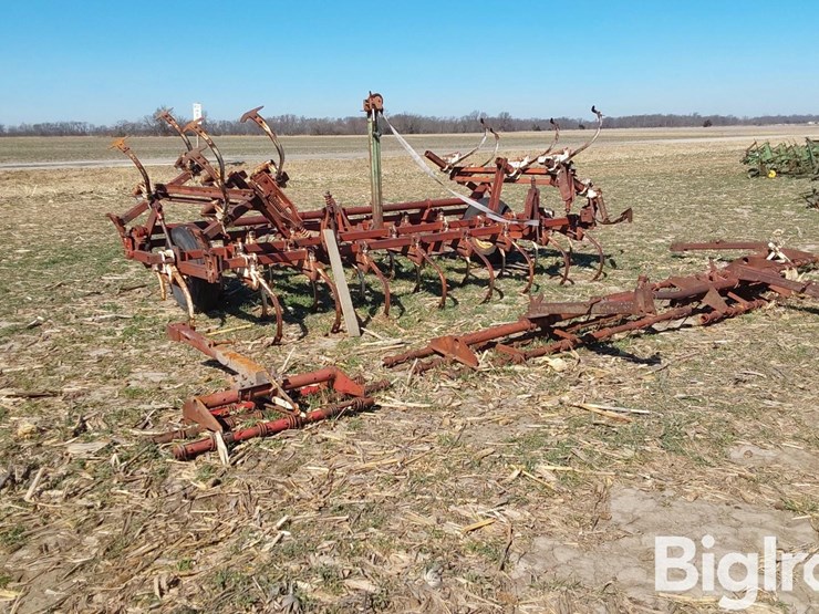 international-45-image-7