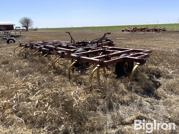 sunflower-2330-image-5