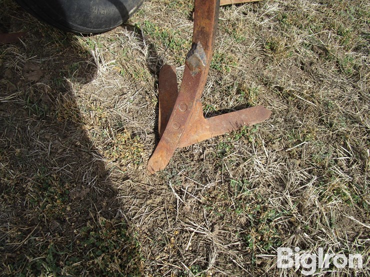 international-55-image-16