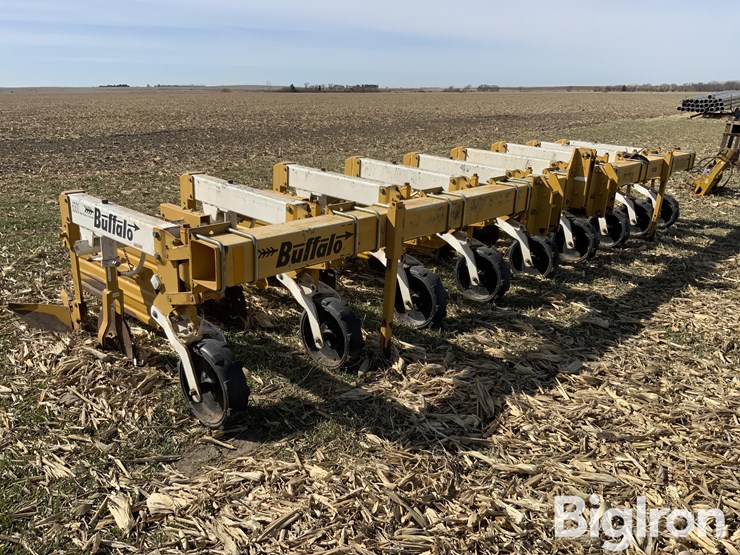 buffalo-6300-image-3